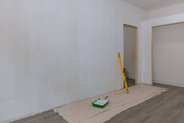 Environmental Consulting for Mold Prevention in Homosassa Springs, FL