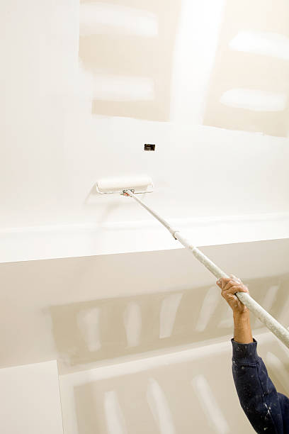 Mold Remediation for Vacation Homes in Homosassa Springs, FL