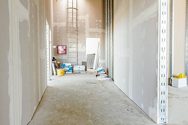 Best Mold Odor Removal Services  in Homosassa Springs, FL