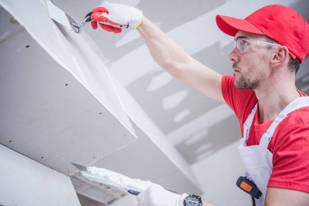 Best Basement Mold Removal  in Homosassa Springs, FL