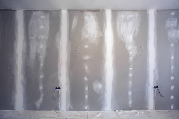 Best Post-Construction Mold Inspection  in Homosassa Springs, FL